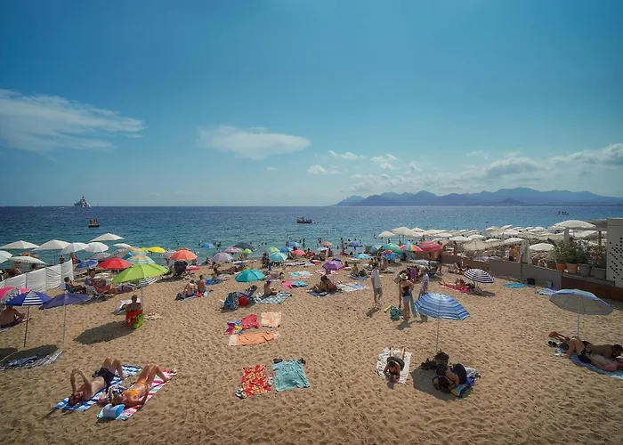 Fil - Piscine - 2 Min - Vca Cannes