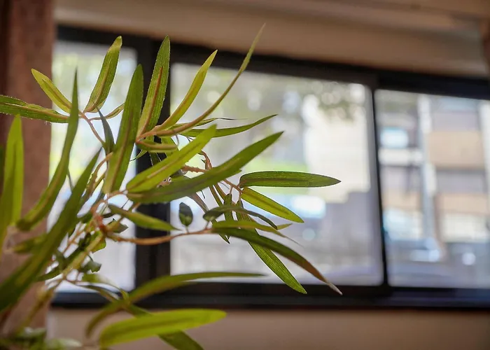 Fil - Piscine - 2 Min - Vca * Cannes