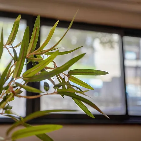 Fil - Piscine - 2 Min - Vca * 칸느